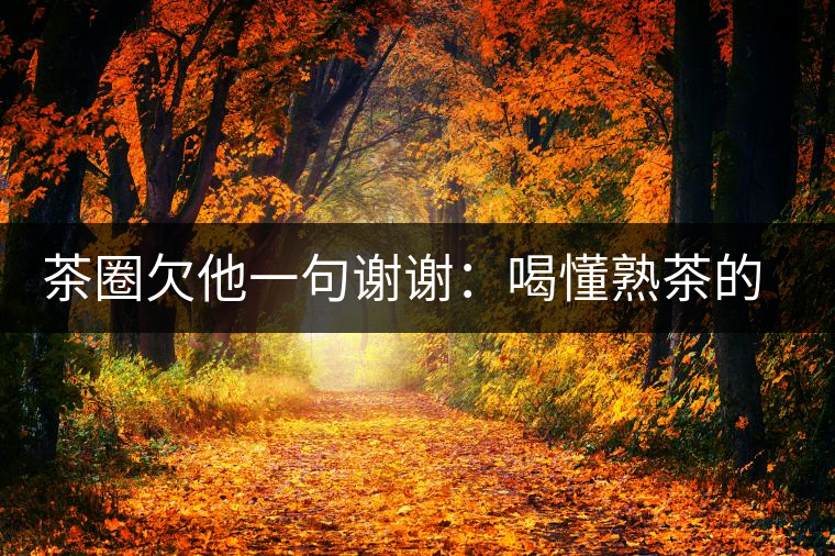 茶圈欠他一句謝謝：喝懂熟茶的人，都該記住陳佩仁這個(gè)名字