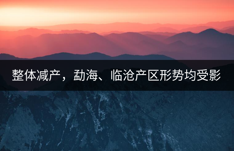 整體減產(chǎn)，勐海、臨滄產(chǎn)區(qū)形勢均受影響