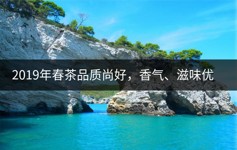 2019年春茶品質(zhì)尚好，香氣、滋味優(yōu)于去年