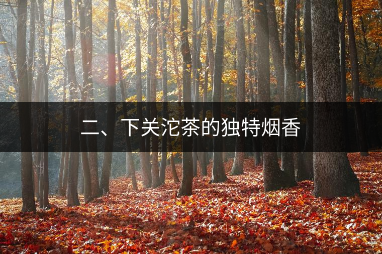 二、下關沱茶的獨特煙香