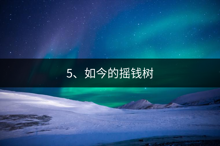 5、如今的搖錢樹