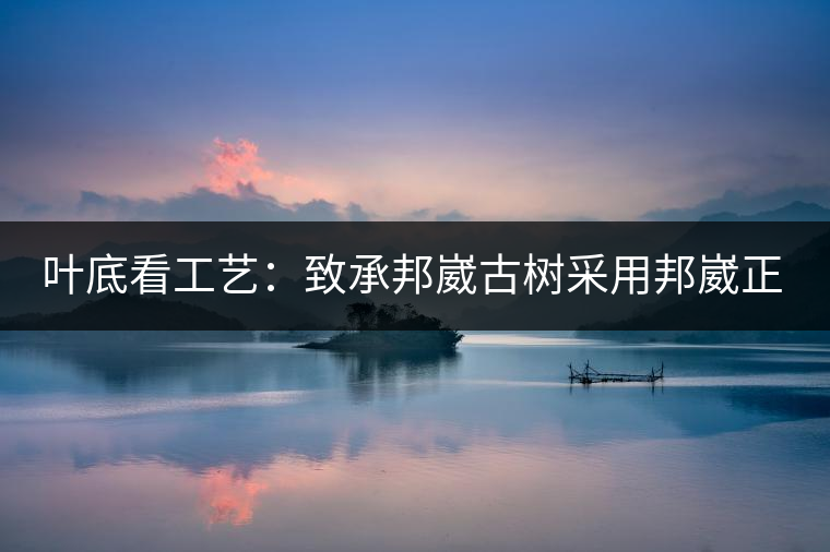 葉底看工藝：致承邦崴古樹采用邦崴正山三百至五百年古茶樹頭春鮮葉。經(jīng)手工殺青，石墨壓制，餅型周正，嚴(yán)守傳統(tǒng)工藝；葉底鮮活，幾乎無糊點(diǎn)，前期殺青較輕，這樣更利于后期轉(zhuǎn)化。