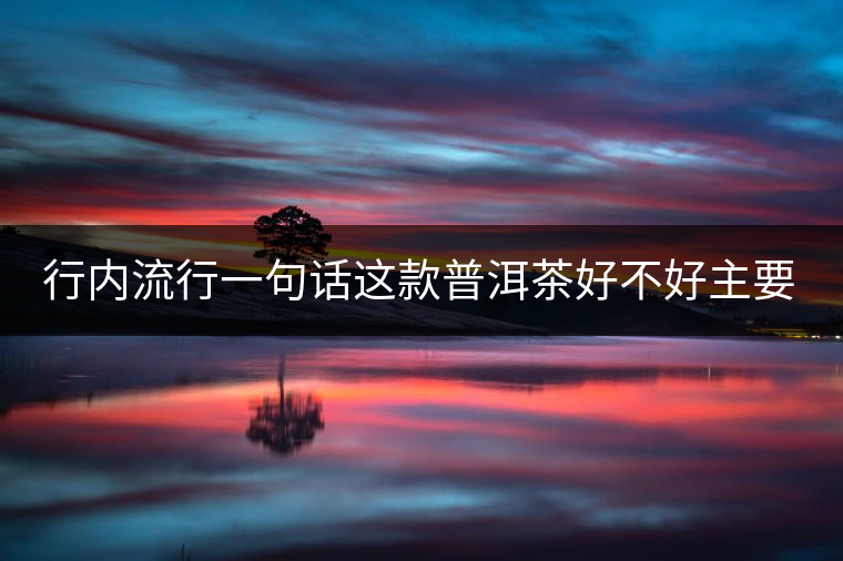 行內(nèi)流行一句話這款普洱茶好不好主要還看尾水，雖然比較片面但是也有一定道理。