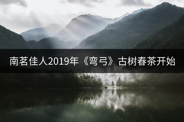 南茗佳人2019年《彎弓》古樹春茶開始預(yù)售啦！