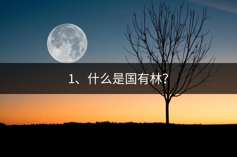 1、什么是國有林？