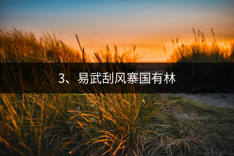 3、易武刮風(fēng)寨國有林