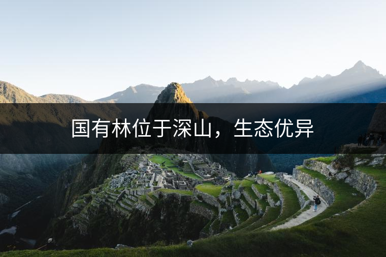 國有林位于深山，生態(tài)優(yōu)異