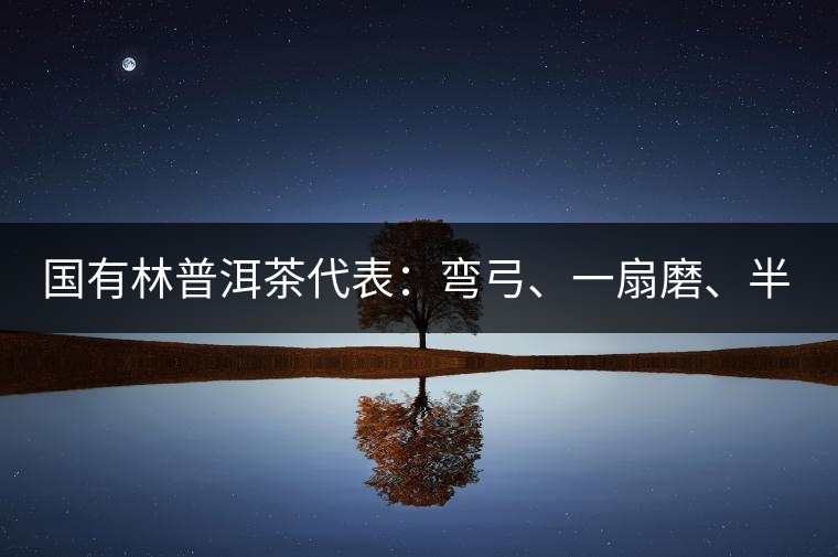 國有林普洱茶代表：彎弓、一扇磨、半坡老寨