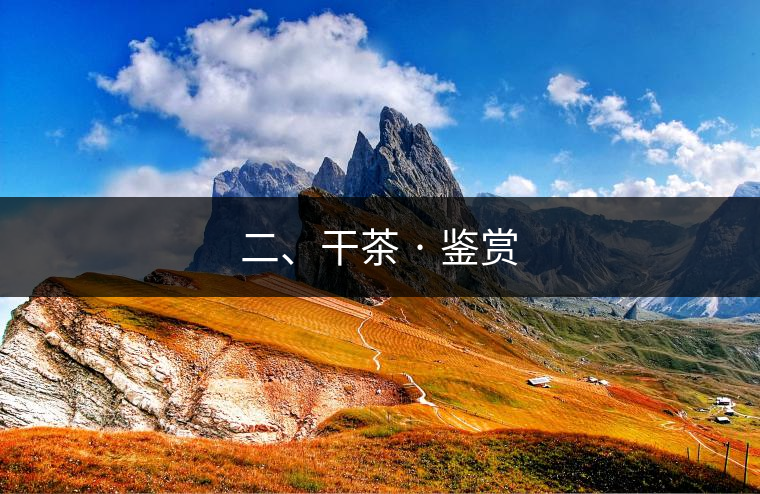 二、干茶 · 鑒賞