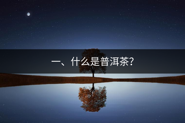 一、什么是普洱茶？