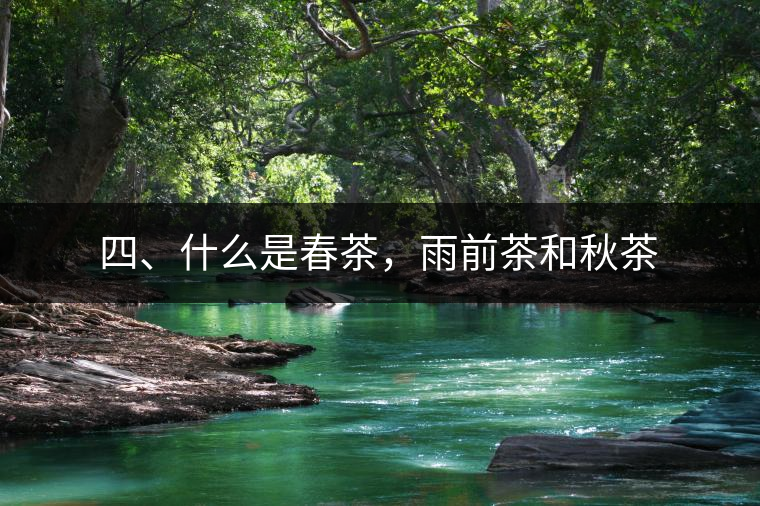 四、什么是春茶，雨前茶和秋茶