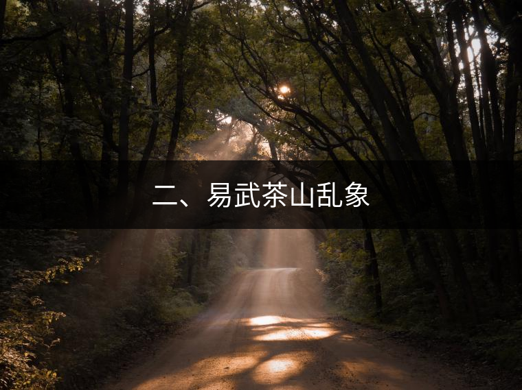 二、易武茶山亂象