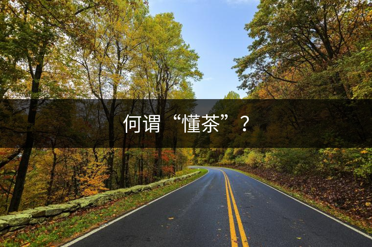 何謂“懂茶”？