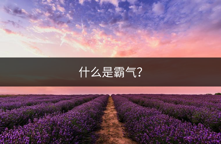 什么是霸氣？