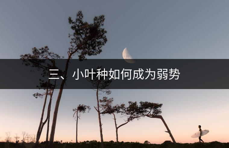 三、小葉種如何成為弱勢(shì)