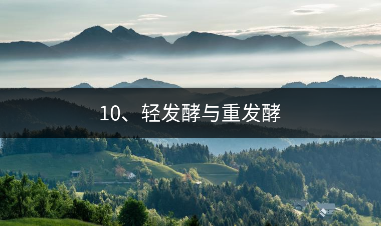 10、輕發(fā)酵與重發(fā)酵