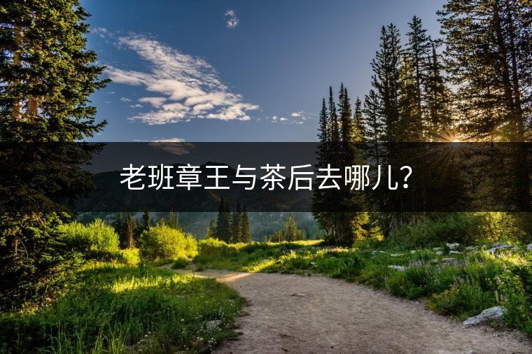 老班章王與茶后去哪兒？