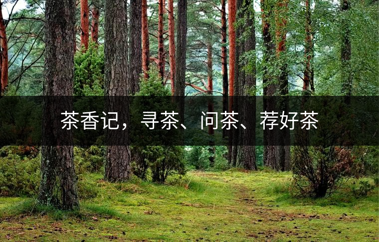 茶香記，尋茶、問茶、薦好茶