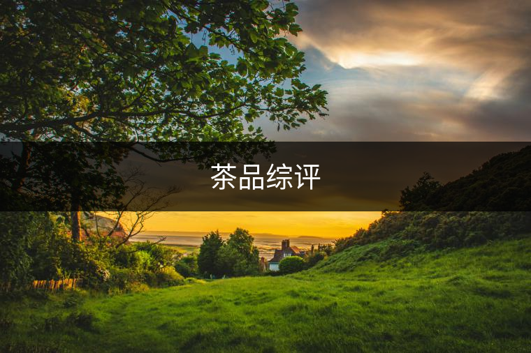 茶品綜評(píng)