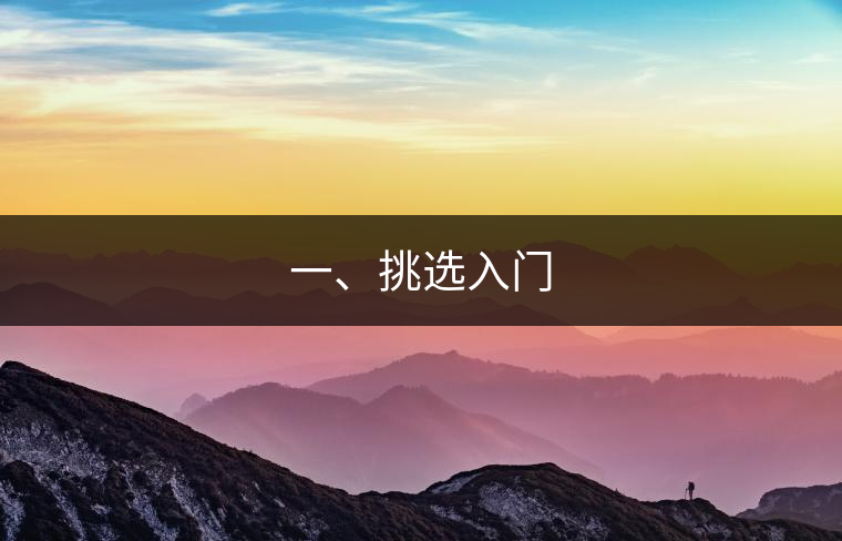 一、挑選入門