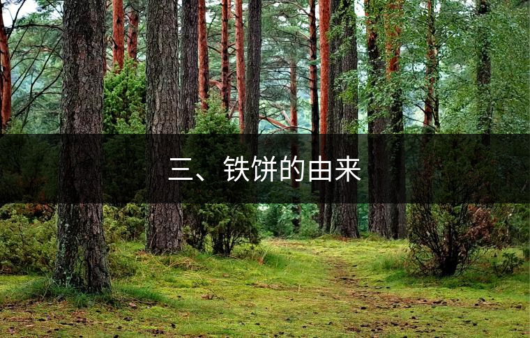 三、鐵餅的由來