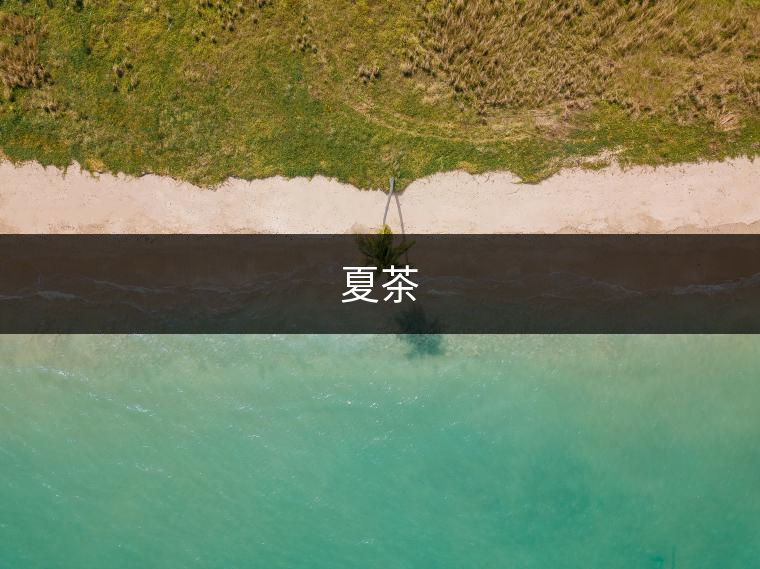 夏茶