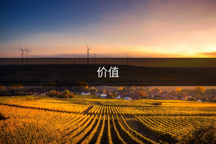 價(jià)值