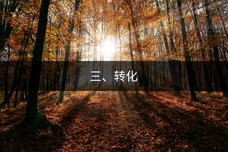 三、轉化