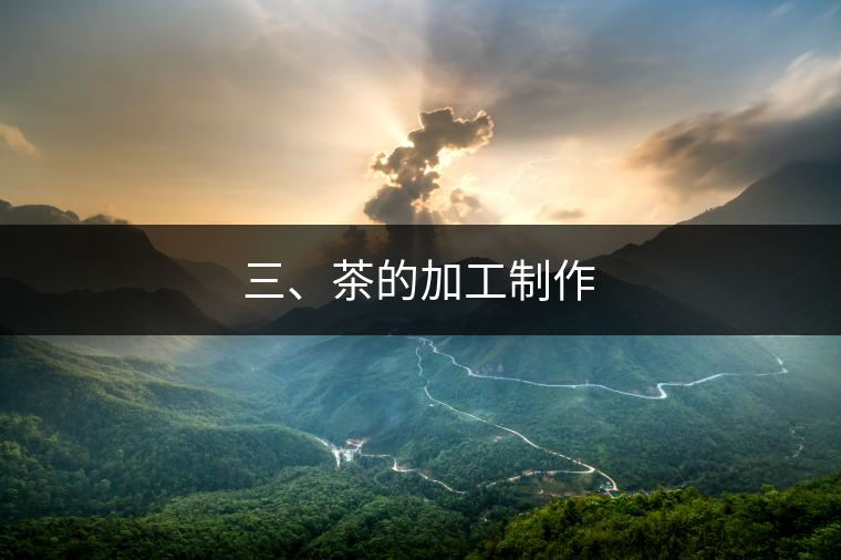 三、茶的加工制作