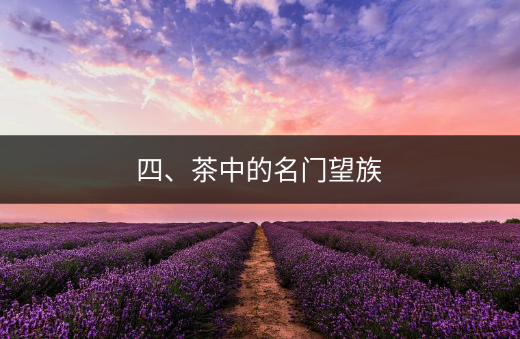 四、茶中的名門望族