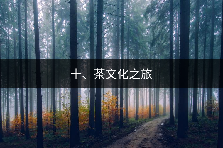 十、茶文化之旅