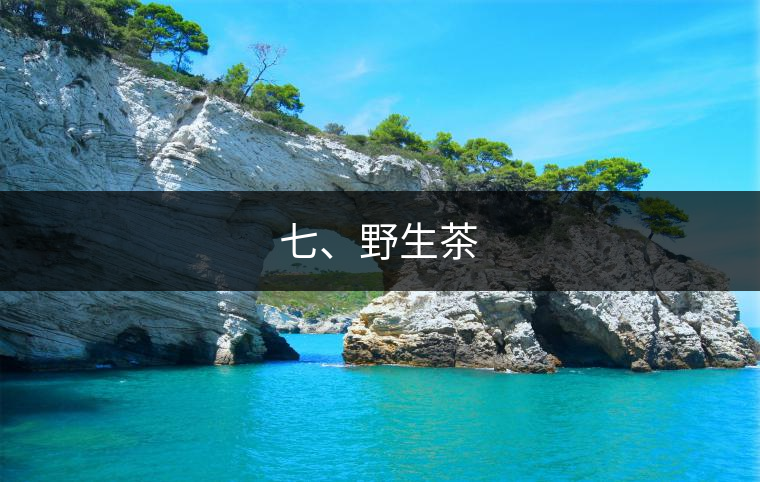 七、野生茶
