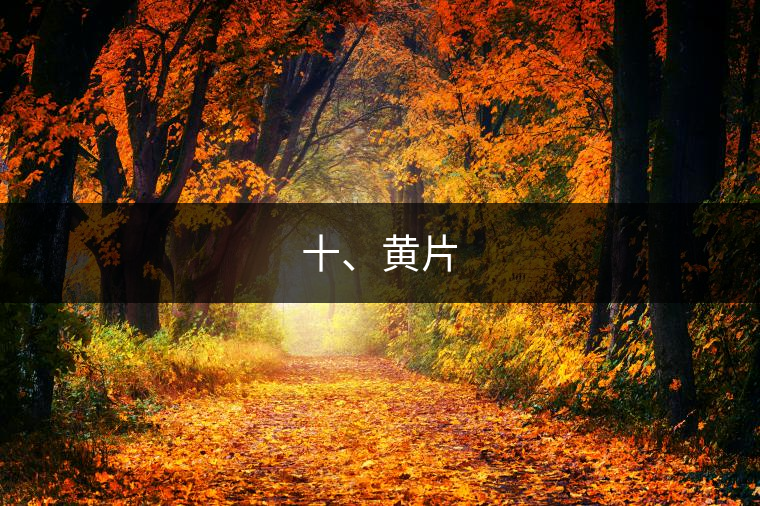 十、黃片