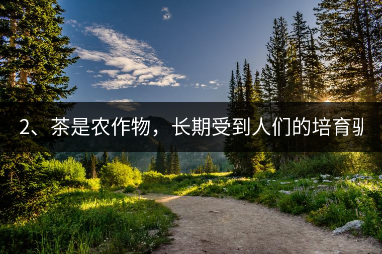 2、茶是農(nóng)作物，長期受到人們的培育馴化。