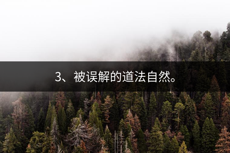 3、被誤解的道法自然。