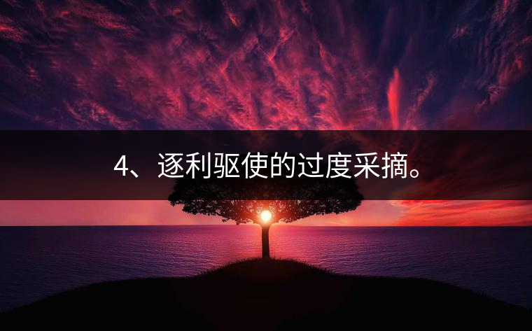 4、逐利驅(qū)使的過度采摘。