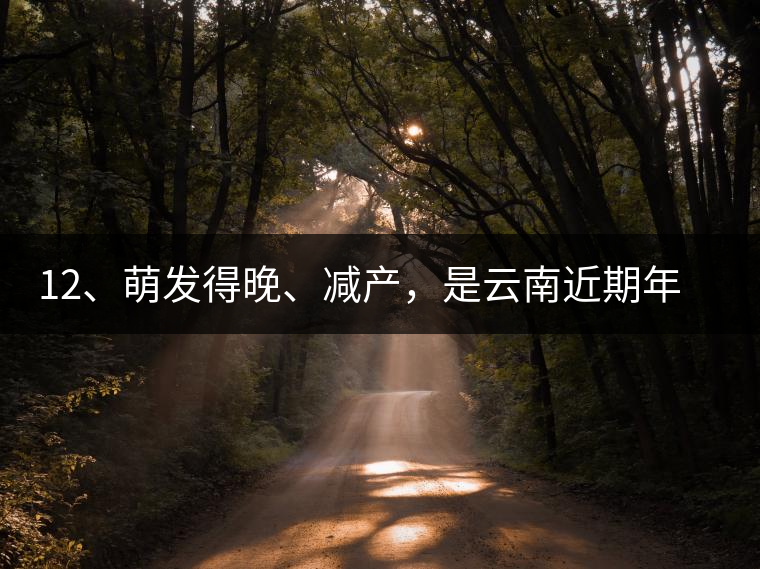 12、萌發(fā)得晚、減產(chǎn)，是云南近期年氣候變化在茶樹上的延遲反映。