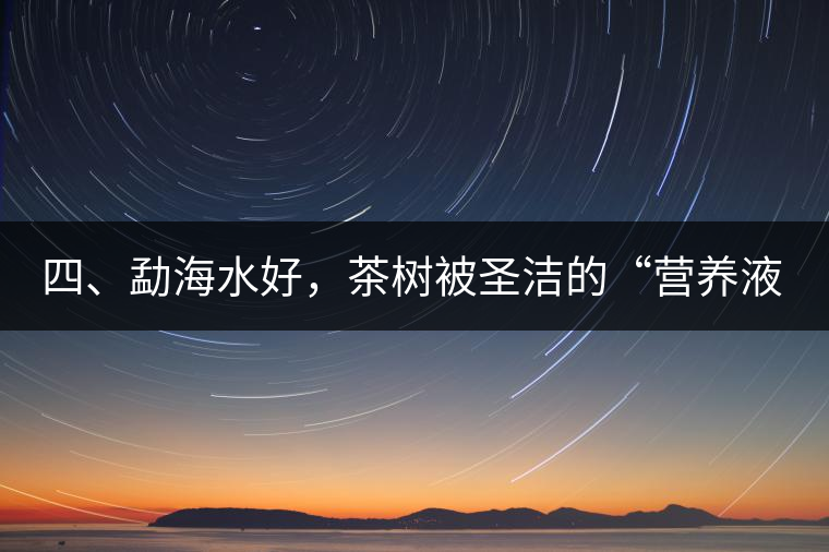 四、勐海水好，茶樹(shù)被圣潔的“營(yíng)養(yǎng)液”所滋養(yǎng)