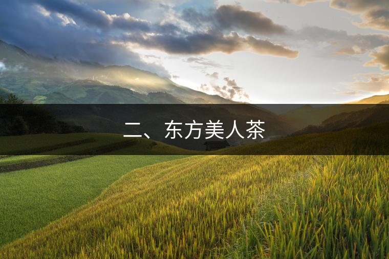 二、東方美人茶