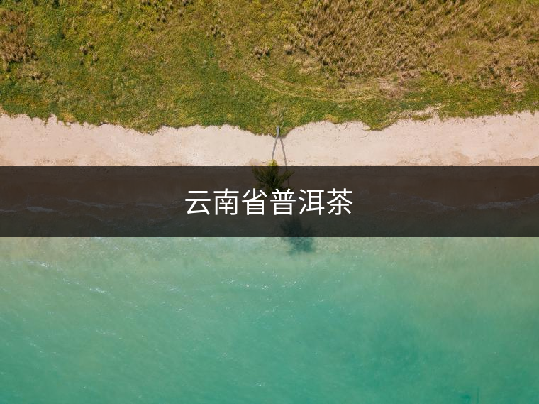 云南省普洱茶 云南省普洱茶