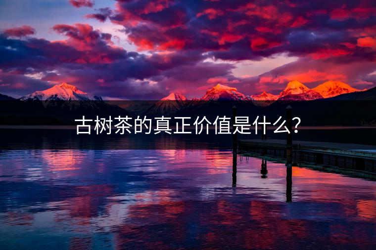 古樹茶的真正價(jià)值是什么？