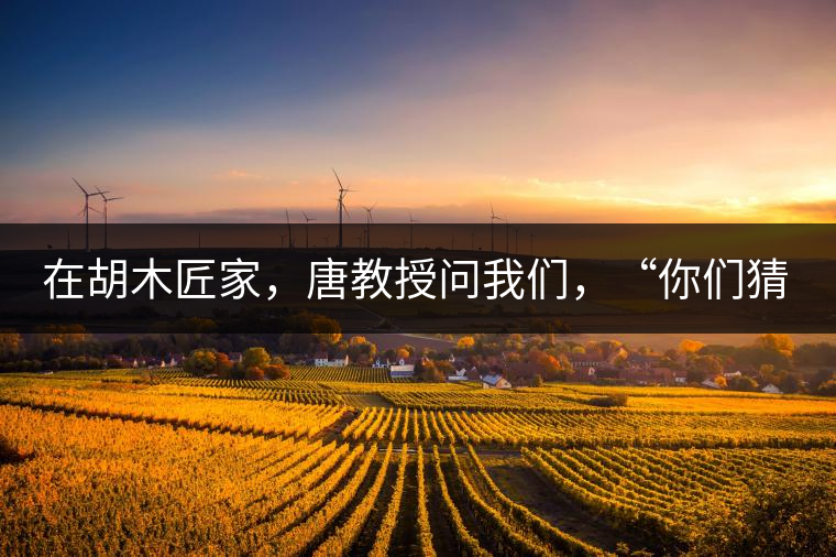 在胡木匠家，唐教授問我們，“你們猜猜他們家的茶放在哪里？”我們回答廚房、客廳都不對，“難道像寺院一樣，有專門的茶房不成？”教授和木匠都哈哈大笑，連連搖頭。在木匠的帶領(lǐng)下，我們來到主人的臥室，茶磚整齊有序地堆放在床頭柜里。一家之主的臥室，既是休息之所，亦是一家財富與傳家寶的收藏地。茶之精貴，毋需多言。