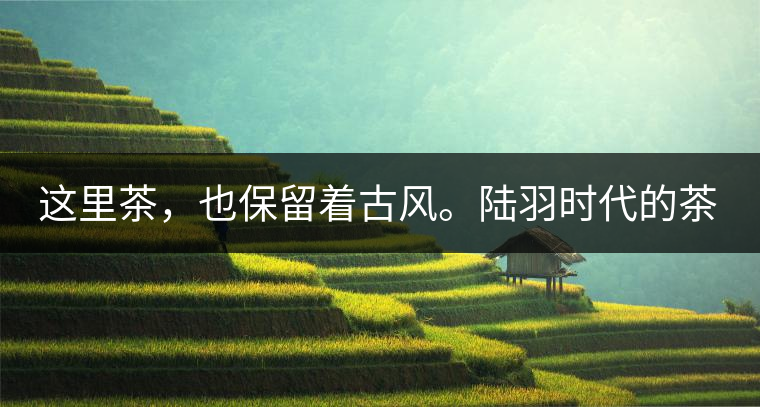 這里茶，也保留著古風(fēng)。陸羽時代的茶，是要加鹽巴的，并非清飲。今天牧民的茶，除了有鹽巴，還有動物奶、酥油、草果、姜片、花椒、面食、油炸等等，這是個人與家庭口感決定，也受時令的影響。比如加辣椒，就是在冬天最冷的時候，可以幫助驅(qū)寒。加鹽巴卻是常態(tài)化，尤其待客的時候，當(dāng)?shù)刂V語說，“人沒錢鬼一般，茶沒鹽水一般，肉沒蒜味一半。”