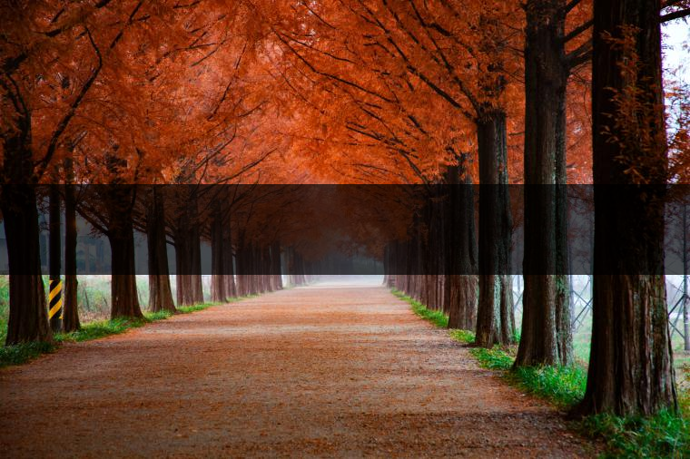 這樣的茶葉邊疆文化，也許是明代大學(xué)者解縉最樂意見到的。他曾說，中原最好的東西就是茶，而番人最好的就是馬。他贊同明廷茶馬互市的國策：茶之于夷人，如同中國之酒醴，因為茶馬貿(mào)易，許多夷人也開始學(xué)習(xí)中國的知識，對中國也有了向慕之心，那么茶的作用就很顯然，茶有著“夷夏之交，義利之辨，寅賓尚忠信而篤敬，河州固唐虞三代之邦也?！?茶不僅僅是一種飲品，還有其他。茶作為媒介，體現(xiàn)了觀念的變化。如今，隨著茶的傳播，各族人民有了更深入往來，通過貿(mào)易、文化、旅游等等。
陳渠珍從西藏抵達(dá)湟源區(qū)域時，也為這里的古風(fēng)所震驚：“余皆漢番雜處。風(fēng)俗婦女尚餞足，裙下蓮步不及三寸，服飾既古，文化尤卑，鄰居為私塾，當(dāng)見一生久讀不能成誦，塾師罰之跪，以草圈罩頭上，頻加籌石，令其跪誦。余見駭然?！?
?
（摘自《海峽茶道》，2013年5期）