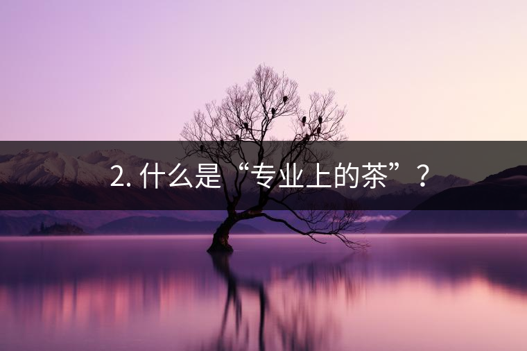 ? 2. 什么是“專業(yè)上的茶”？
