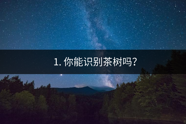 ??1. 你能識(shí)別茶樹嗎？