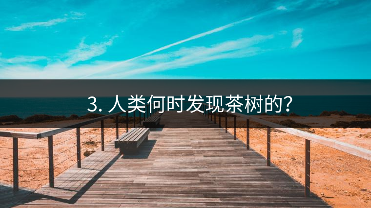 ? 3. 人類何時(shí)發(fā)現(xiàn)茶樹的？