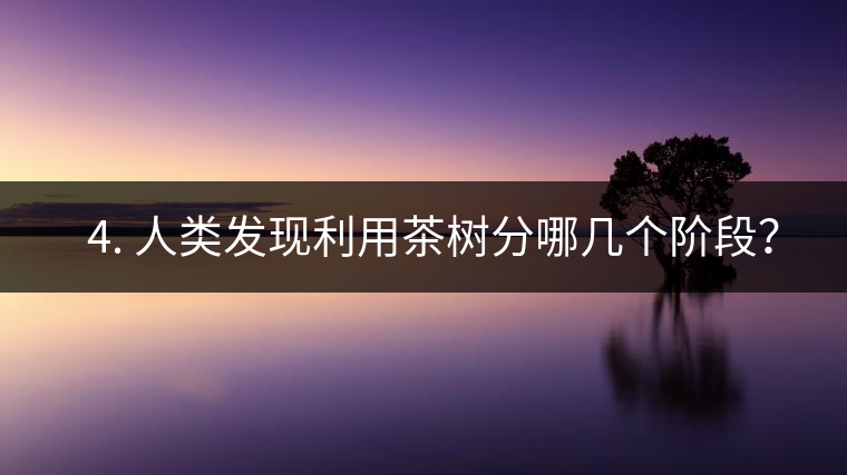 ? 4. 人類發(fā)現(xiàn)利用茶樹分哪幾個(gè)階段？
