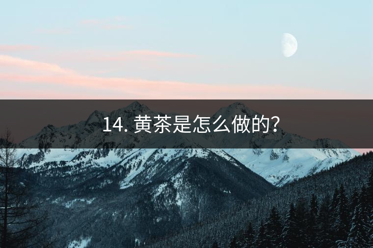 ? 14. 黃茶是怎么做的？
