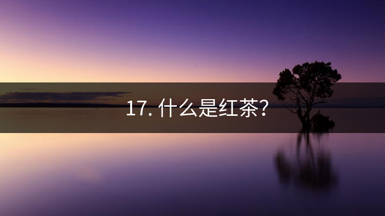 ? 17. 什么是紅茶？